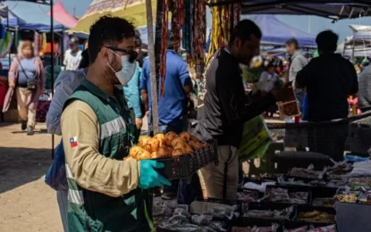 SAG decomisó 392 kilos de productos agrícolas en fiscalización en Alto Hospicio