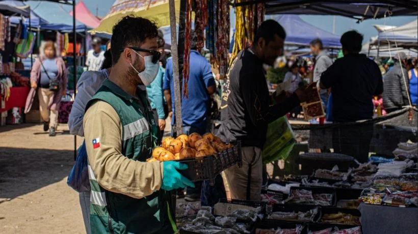 SAG decomisó 392 kilos de productos agrícolas en fiscalización en Alto Hospicio