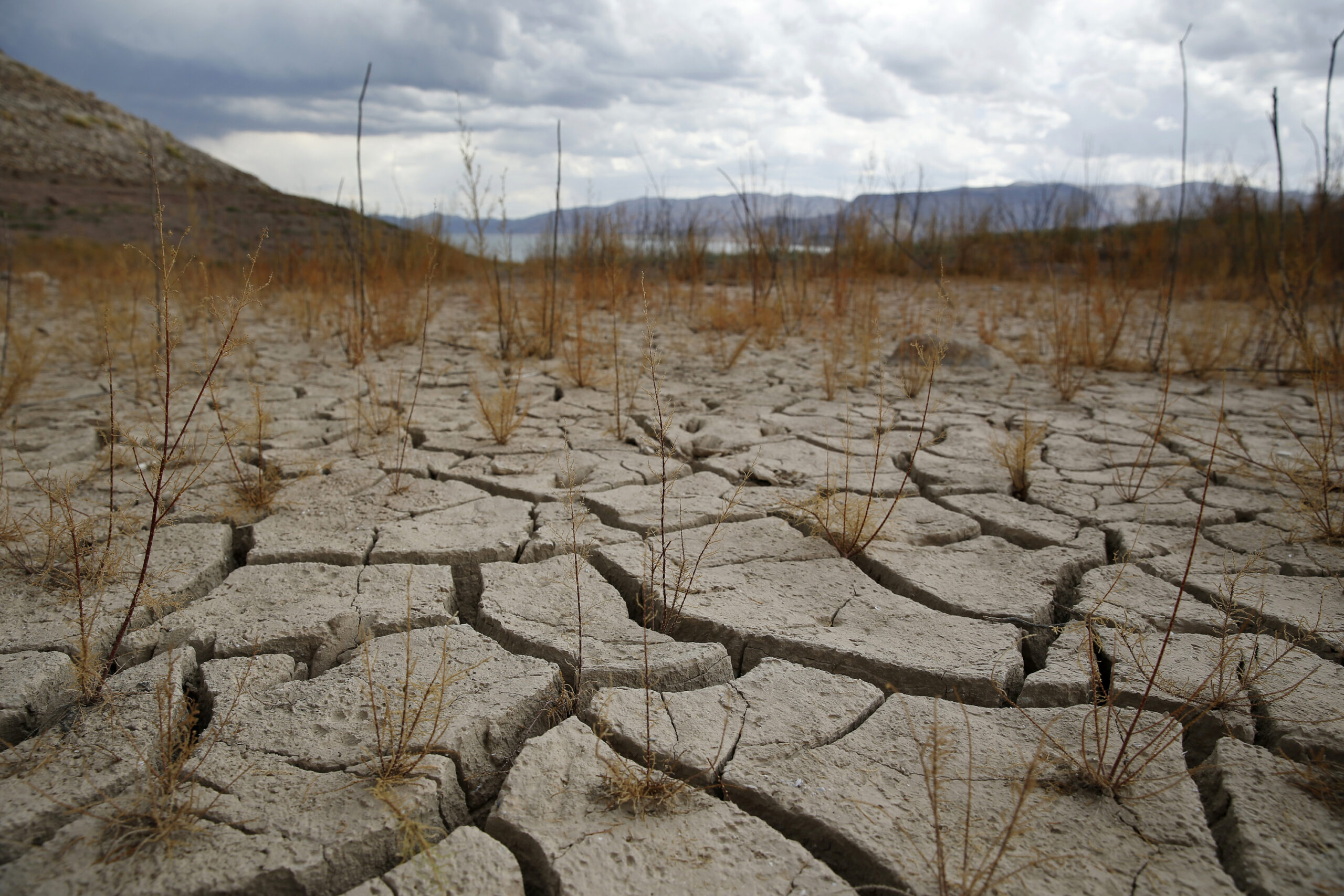 ¿Cómo se relaciona el cambio climático con los fenómenos naturales?