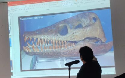 Alto Hospicio recibe réplica de reptil marino “Elasmosaurio”