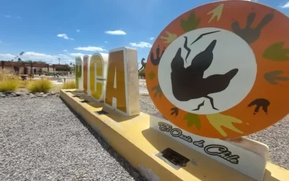 Contraloría General de la República ordena despedir al yerno del alcalde de Pica