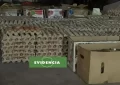 Decomisan alimentos de contrabando que eran comercializados en la vía pública en Tarapacá