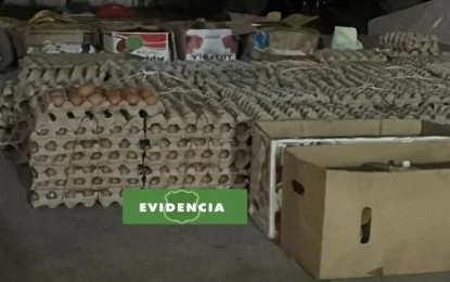 Decomisan alimentos de contrabando que eran comercializados en la vía pública en Tarapacá