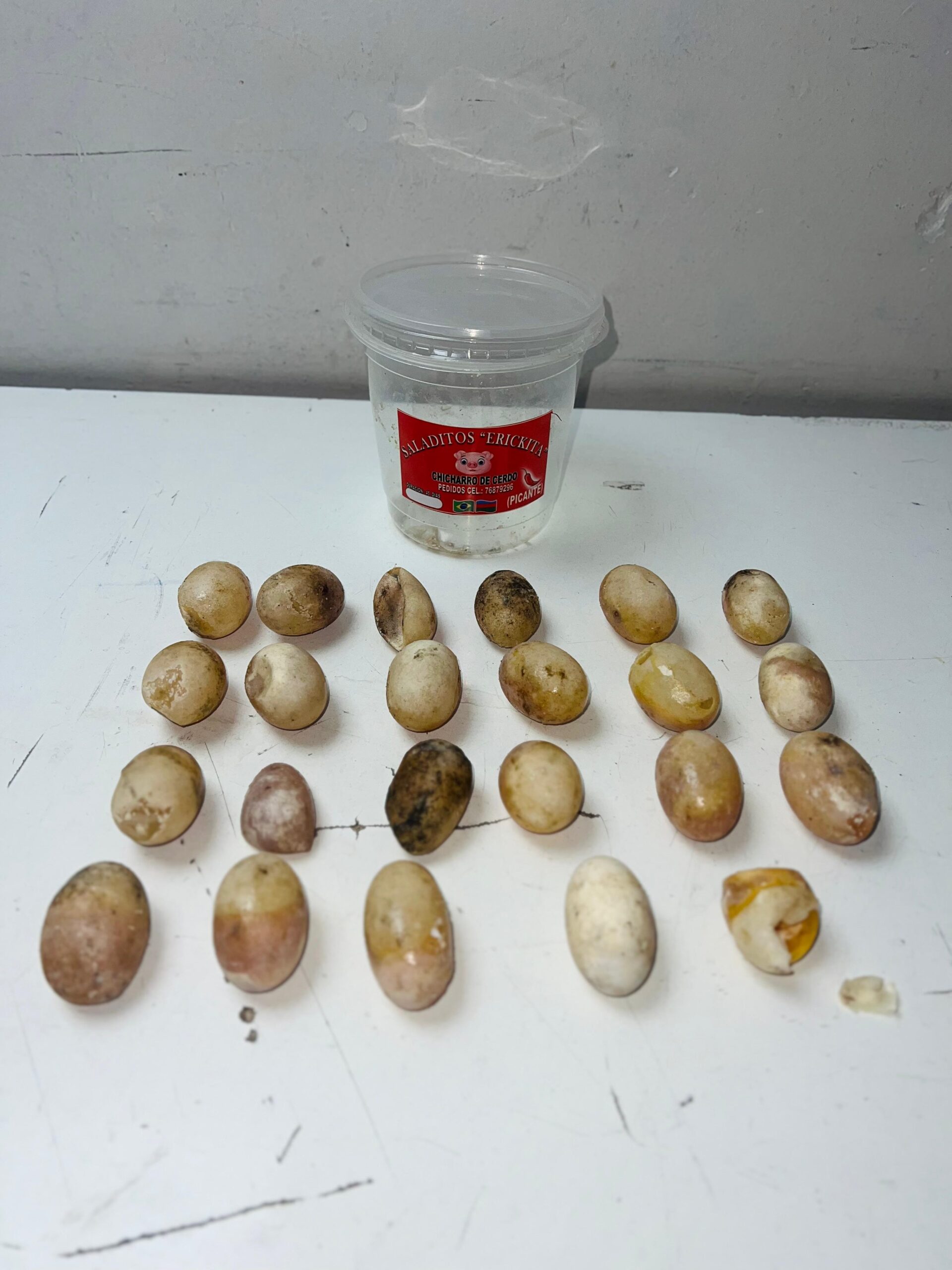 SAG Tarapacá alerta sobre inusual incautación de huevos de tortuga en Colchane