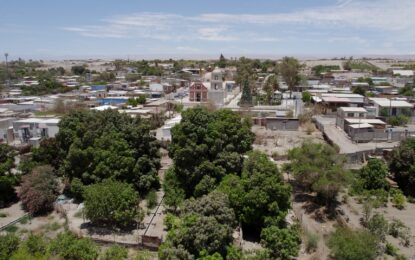 Matilla será sede del Primer Encuentro de Indígenas Vitivinicultores de la Macro Zona Norte de Chile