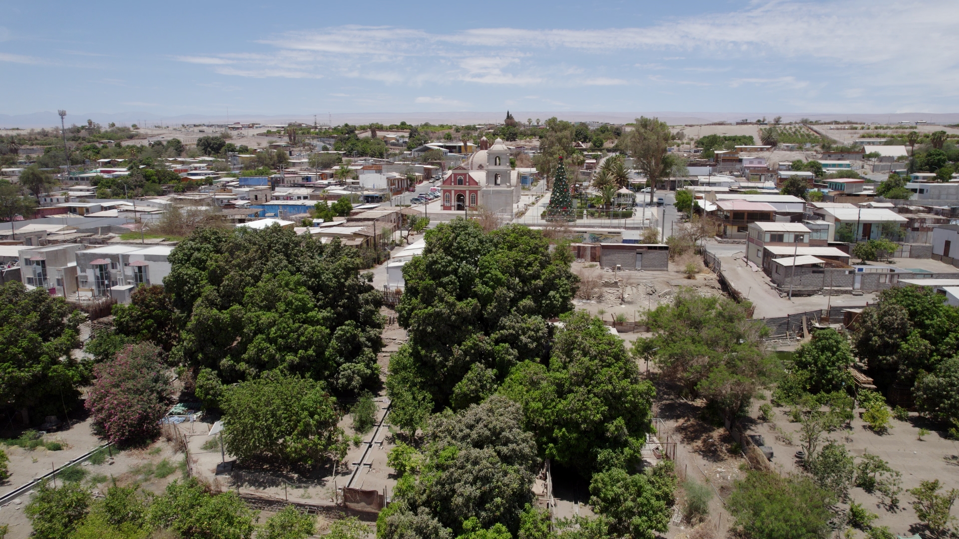 Matilla será sede del Primer Encuentro de Indígenas Vitivinicultores de la Macro Zona Norte de Chile