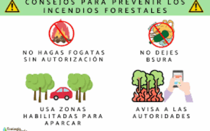 Medidas para prevenir y reducir el impacto de los incendios forestales