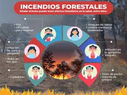 Incendios forestales: ¿Cómo afecta el humo a la salud de las personas? ¿Cuáles son los síntomas? _