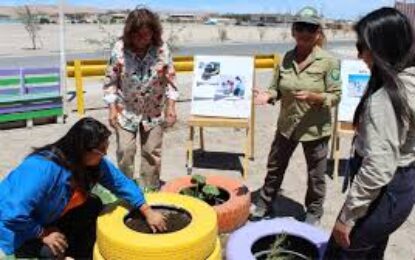 Pozo Almonte: Municipio y CONAF inauguran plazoleta Nayra Pacha, un nuevo espacio verde para el bienestar de la primera infancia