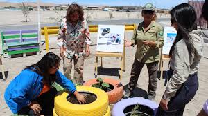 Pozo Almonte: Municipio y CONAF inauguran plazoleta Nayra Pacha, un nuevo espacio verde para el bienestar de la primera infancia