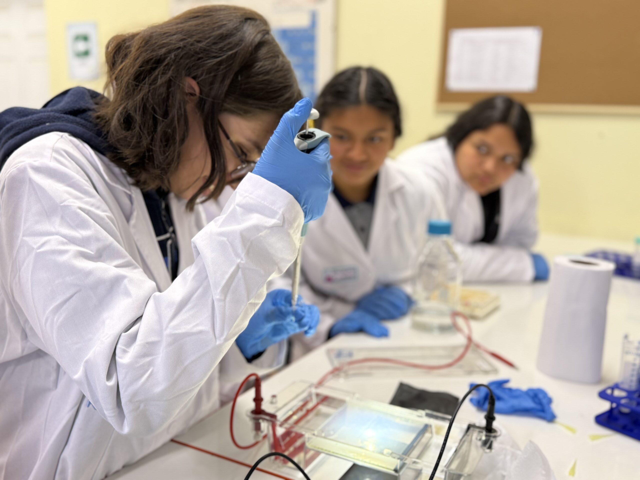 Escolares de Pozo Almonte investigan el pasado del desierto para comprender el clima del futuro en innovador taller de genómica y biodiversidad