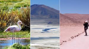 Áreas protegidas de Tarapacá realizaron Cuenta Pública 2025