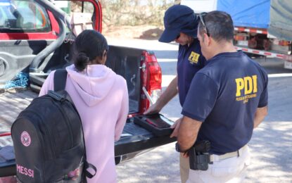 Nuevo operativo conjunto refuerza trabajo permanente de control en cruce Huara-Colchane