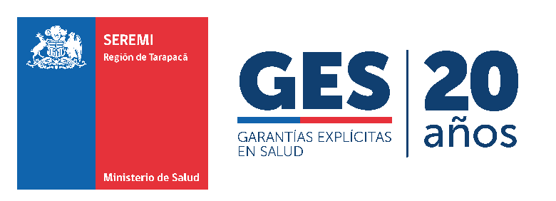 SEREMI de Salud de Tarapacá presenta balance de fiscalizaciones de alimentos realizadas durante el fin de año 2025