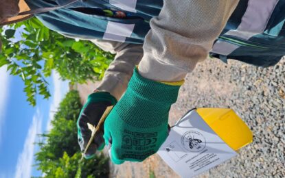 Buena noticia para la agricultura regional: SAG Tarapacá cierra campaña de erradicación de mosca de la fruta en Bajo Soga