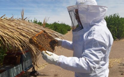 SAG llama a informarse ante nueva obligación de avisar aplicaciones de plaguicidas tóxico para las abejas