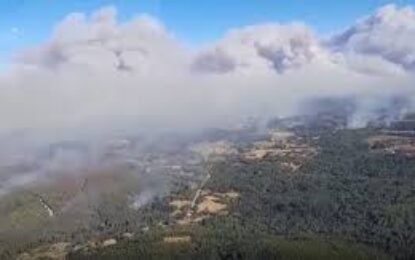 Chile entre los 10 países del mundo con mayor proporción de muertes ligadas a la contaminación de incendios forestales