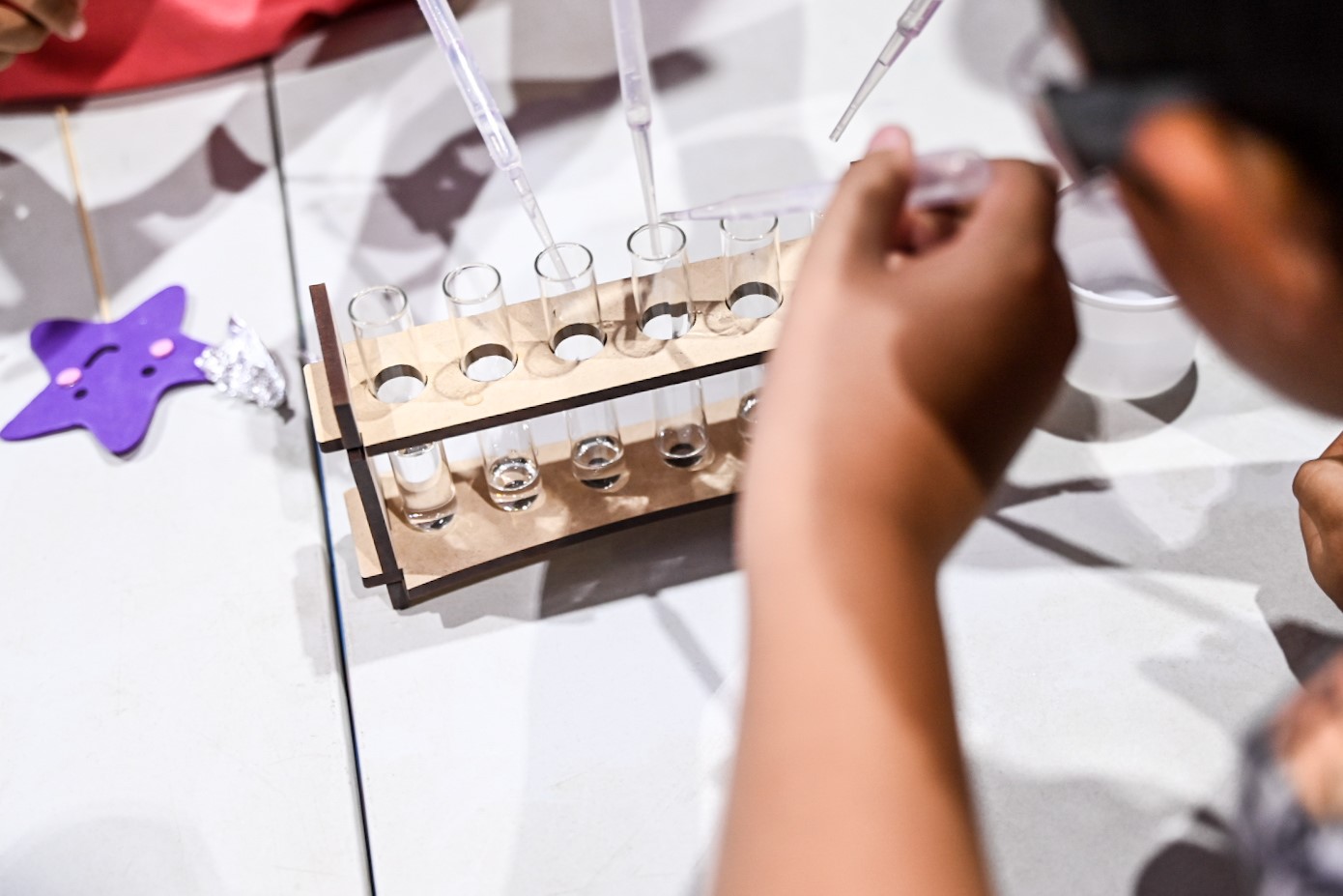 Ministerio de Ciencia adjudicó más de $1.550 millones en sus Concursos Nacionales Ciencia Pública