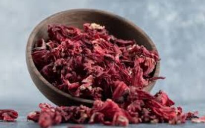 Flor de Jamaica: ¿Qué es y cuáles son los beneficios de esta popular infusión?
