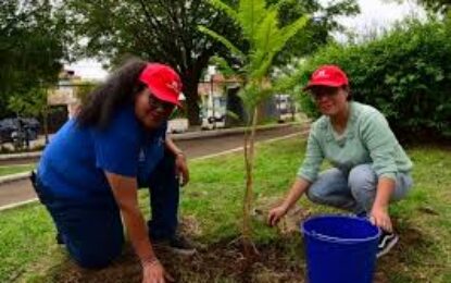 CONAF Tarapacá y comunidad de Pica celebraron el Día Mundial del Árbol dando inicio al programa “Mi pueblo, mi árbol” en la provincia del Tamarugal