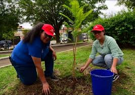 CONAF Tarapacá y comunidad de Pica celebraron el Día Mundial del Árbol dando inicio al programa “Mi pueblo, mi árbol” en la provincia del Tamarugal