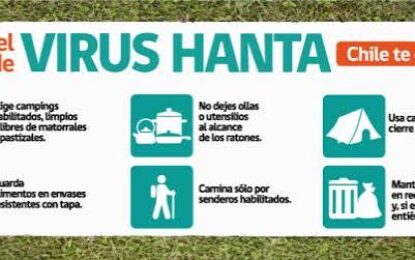Alerta por Virus Hanta: ¿Cómo prevenir el contagio y cuándo acudir a urgencias?
