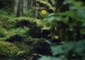 Cuando la naturaleza nos pone a prueba