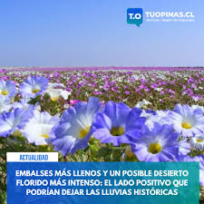 Embalses más llenos y un posible Desierto Florido más intenso: El lado positivo de las lluvias históricas
