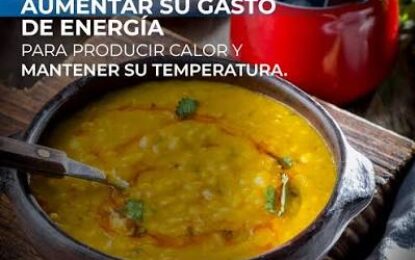 La cocina reconfortante, tan propia de las bajas temperaturas, tiende a percibirse como desequilibrante para la salud alimentaria, sin embargo, puede ser saludable si se eligen bien sus ingredientes.