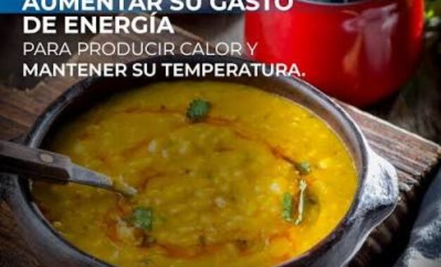 La cocina reconfortante, tan propia de las bajas temperaturas, tiende a percibirse como desequilibrante para la salud alimentaria, sin embargo, puede ser saludable si se eligen bien sus ingredientes.