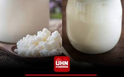 Kéfir, el lácteo que gana popularidad: sus beneficios y diferencias con el yogurt