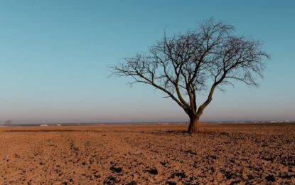 Ipsos: Seis de cada diez chilenos cree que la infraestructura del país no ha sido adaptada para resistir los impactos del cambio climático