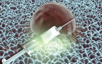 Aumentan los casos de Virus Hanta en Chile: ¿Cómo prevenir el contagio y cuándo acudir a urgencias?