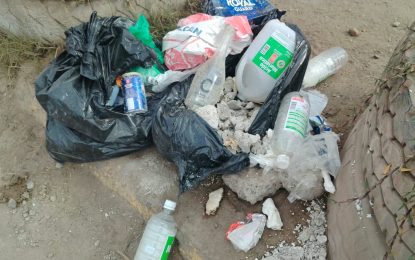 el Reciclaje de botellas crea  inpacto a la comunidad de alto hospicio