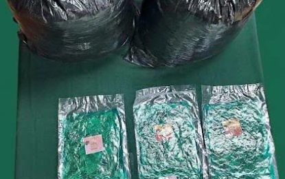 Colchane: Carabineros detiene a dos extranjeros e incauta 17,7 kilos de hojas de coca