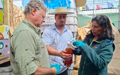 SAG intensifica fiscalización de chicha para garantizar inocuidad en Fiestas Patrias