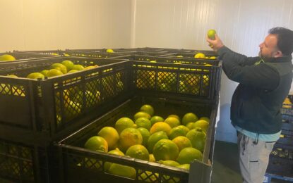 SAG Tarapacá marca un hito histórico con el primer tratamiento cuarentenario en frío para la exportación agrícola