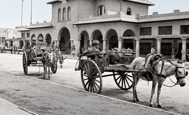 MERCADO CENTENARIO DE IQUIQUE: UN LEGADO QUE FORMA PARTE DE NUESTRA HISTORIA