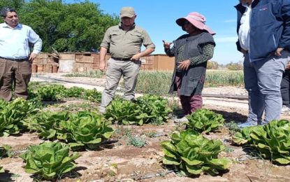Director ejecutivo de Agroseguros lideró Mesa Regional de Seguros Agrícolas en Tarapacá