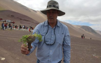 En el Día Nacional del Medio Ambiente realizan jornada de observación del “Desierto Florido de Tarapacá”  