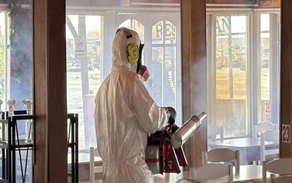 SEREMI de Salud detecta cuarto hallazgo de Aedes aegypti en Tarapacá durante 2026