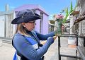Ante hallazgos de Aedes aegypti: Seremi de Salud refuerza llamado a seguir medidas preventivas en cementerios