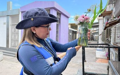 Ante hallazgos de Aedes aegypti: Seremi de Salud refuerza llamado a seguir medidas preventivas en cementerios