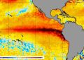 El impacto de El Niño en Chile: alimentos, salmones y vino entre las industrias más vulnerables