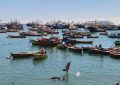 Pesca artesanal de Tarapacá recibe sexto cupón de combustible: ya son $59,1 millones entregados en la región