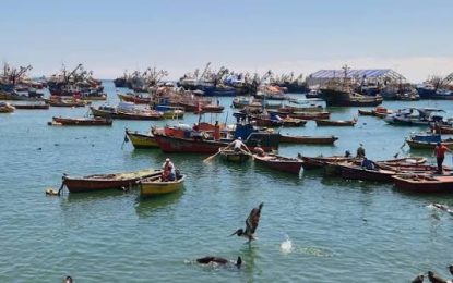 Pesca artesanal de Tarapacá recibe sexto cupón de combustible: ya son $59,1 millones entregados en la región