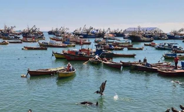 Pesca artesanal de Tarapacá recibe sexto cupón de combustible: ya son $59,1 millones entregados en la región