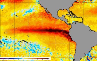 El impacto de El Niño en Chile: alimentos, salmones y vino entre las industrias más vulnerables